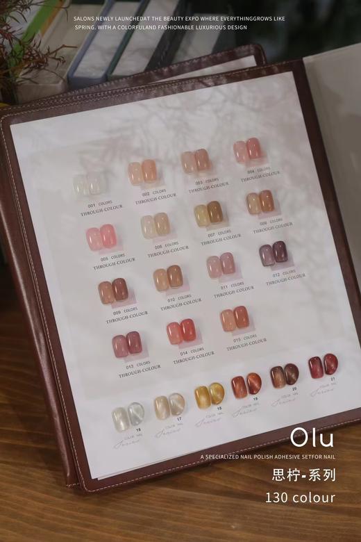 鸥璐 思柠系列130色套装 配送双色板 商品图3