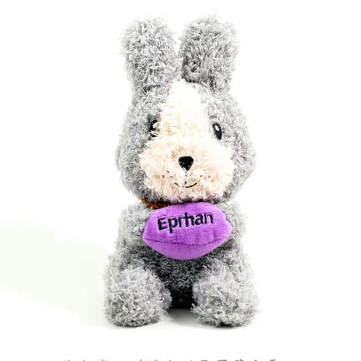 新疆伊帕尔汗帕帕兔伊犁鼠兔太空蓝薰衣草花籽兔子毛绒公仔玩具官方旗舰店 商品图5