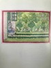 1968年 小灰兔做蕾丝 玛格丽特·坦普斯特多幅彩色插图 精装32开 商品缩略图4