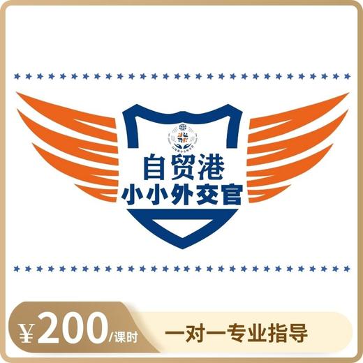 “自贸港小外交官天团”一对一专业指导 商品图0