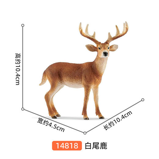 思乐 白尾鹿SCHC14818 商品图1