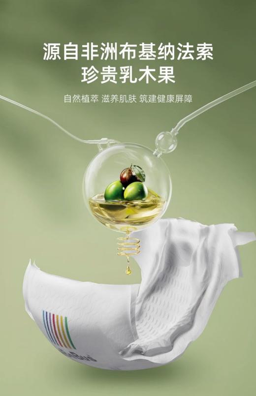 【盼盼专享】装仔乳木果纸尿裤S-XL 商品图3