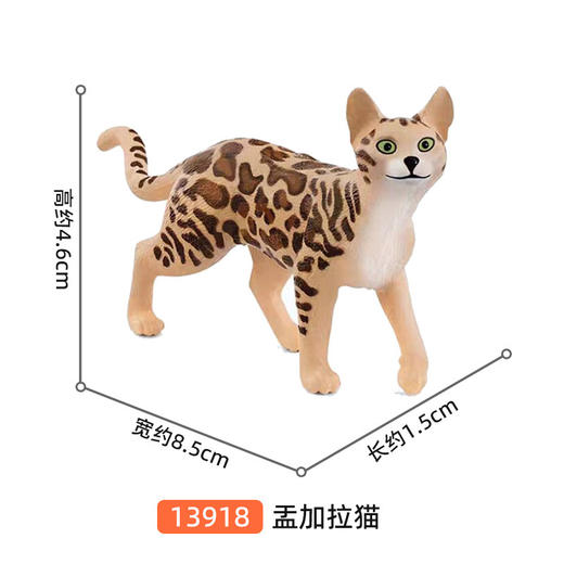 思乐 盂加拉猫SCHC13918 商品图1
