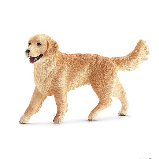 思乐 母金色雷屈弗猎狗SCHC16395 商品图0