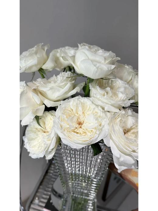 同城甄选肯尼亚玫瑰花lady Forte福尔特夫人10支 商品图4