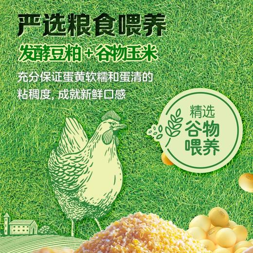 香满园可生食鸡蛋20枚装NSF和可生食双认证 商品图2