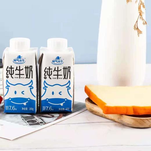 【包邮】丨2024年双十二秒杀-神气水牛纯牛奶200ml*10盒*2箱108元丨2024年12月14日发货 商品图2