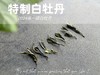 【特惠秒杀】2024特制白牡丹的香蜜沉沉 ，花蜜似的浓、果浆似的稠、蜜汁似的甜 商品缩略图3