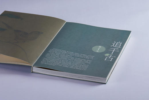 【11月12日发货】《问羽：宋代的自然与艺术世界》 商品图4