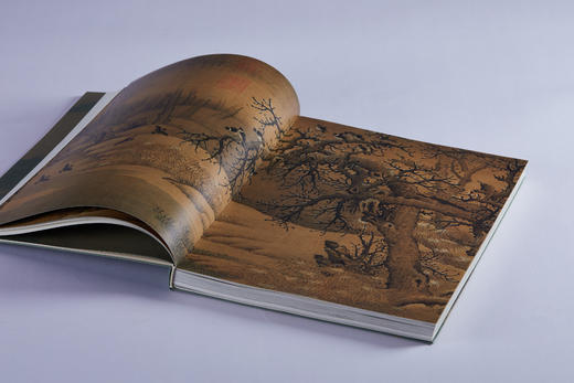 【11月12日发货】《问羽：宋代的自然与艺术世界》 商品图5