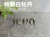 【特惠秒杀】2024特制白牡丹的香蜜沉沉 ，花蜜似的浓、果浆似的稠、蜜汁似的甜 商品缩略图1