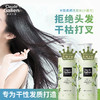 【洗护搭档】歌歌兰妮小苍兰洗发水护发乳丰盈柔顺香水洗护套装 商品缩略图2