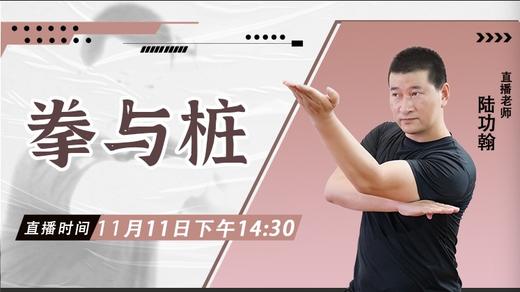 11月11日  拳与桩——功夫课堂 商品图0