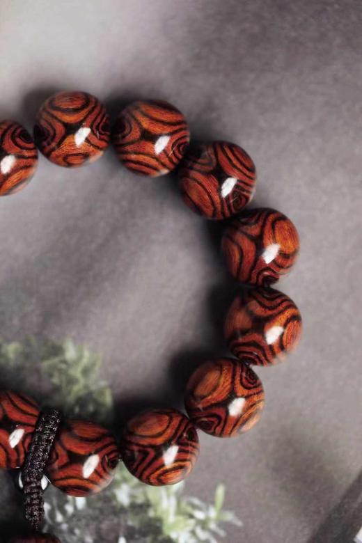 海黄 对眼1.8 商品图5