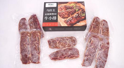 【光明联豪】乌拉圭安格斯整切牛小排 1kg/盒（每盒含5袋，共10片） 商品图3