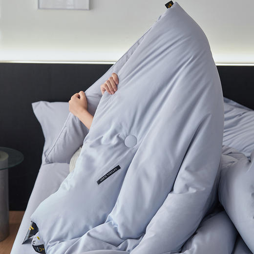 自然醒玛莎-全棉80贡缎大豆被99%大豆+黄棉被子A类加厚保暖冬被春秋棉被芯四季通用被褥FM 商品图11