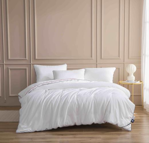 【春上新】10楼 梦洁宝贝 铂翠提花丝绵发热厚被 吊牌价1999-2699元   活动价1099-1399元 商品图1