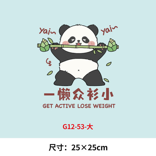 趣味可爱卡通柿柿熊猫国潮印花T恤卫衣图案热转印白墨胶印烫画贴 商品图5