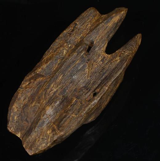 BC.AO11.08-9 菩萨沉水（原料）121.86g。 商品图0