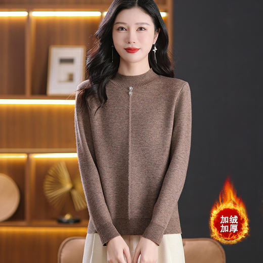 CC-101-8979秋季新款加绒厚款保暖毛衣针织打底衫休闲通勤洋气女上衣女 商品图2