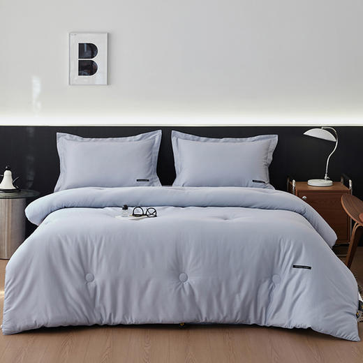 自然醒玛莎-全棉80贡缎大豆被99%大豆+黄棉被子A类加厚保暖冬被春秋棉被芯四季通用被褥FM 商品图3