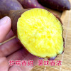 【鸣门金时2代•板栗红薯】软糯香甜 细腻丝滑 无丝无筋 入口消融 薯味香浓 2种规格任选 商品缩略图2