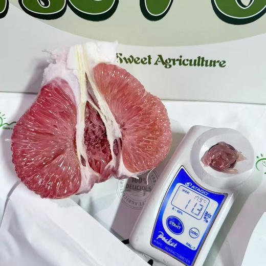 马家柚（个）出口级标准 宝藏级甜柚 约1200g/个 商品图1