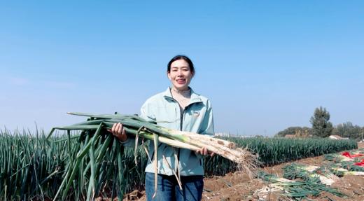 【限购3份】仅限500份 报盟富硒认证章丘大葱基地  10斤左右/份 商品图1