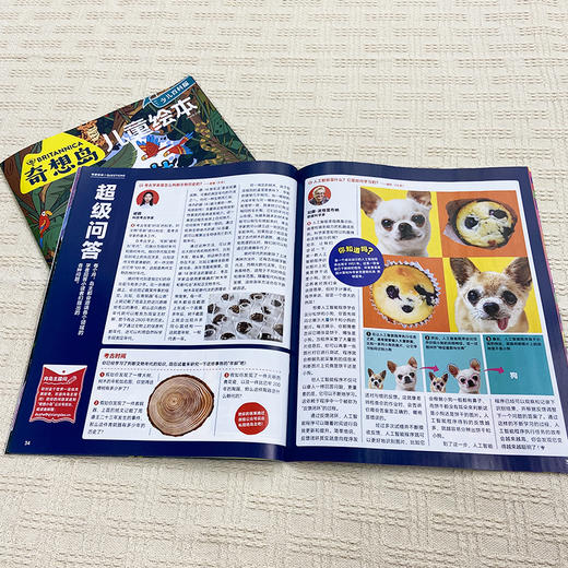 《奇想岛》 4-9岁孩子 「多学科启蒙」天花板！一刊拥有绘本＋故事＋科普！ 商品图4