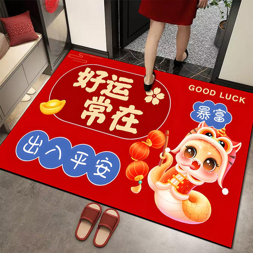 【9.9秒杀❗️马年水晶绒地垫】2025喜庆入户门口，升级加厚锁边塑颗不易移位，迎宾红门垫玄关耐脏脚垫新年大门口地垫QQ粉丝专享 商品图13