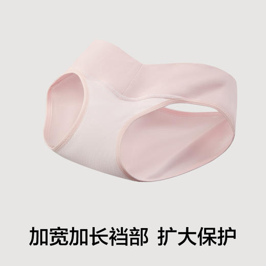 有棵树纯棉低腰托腹孕妇内裤3条装-PW7001 商品图4