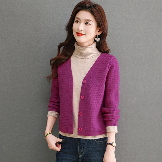 CC-103-A986秋冬季新款深色显白高翻领针织衫毛衣设计感百搭叠穿上衣厚 商品图0