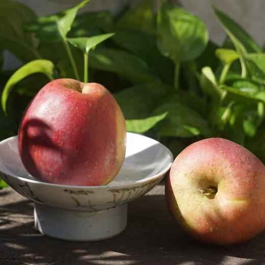 010昭通丑苹果| Yunnan Apple  长得丑但真的好吃  高原自然熟 脆甜可口 越嚼越香 带皮啃才过瘾 商品图3