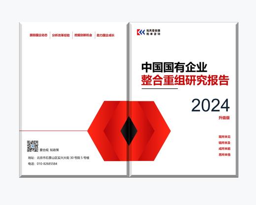 中国国有企业整合重组研究报告（2024升级版） 商品图4