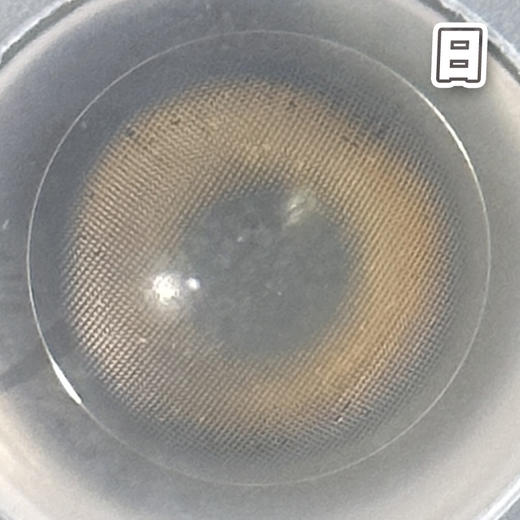 #蜂蜜小饼 浅棕色 14.2mm 8.5基弧【10片装】国产精品 / 日抛 商品图1