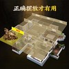 铜龙龟摆件金钱龟铜质母子龙头龟家居办公室客厅装饰摆设 商品缩略图4