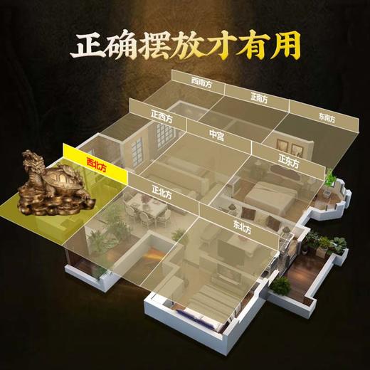 铜龙龟摆件金钱龟铜质母子龙头龟家居办公室客厅装饰摆设 商品图4