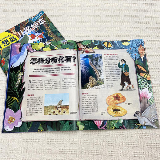《奇想岛》 4-9岁孩子 「多学科启蒙」天花板！一刊拥有绘本＋故事＋科普！ 商品图8