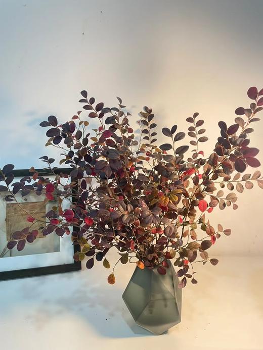 精品花材红继木1扎 商品图0