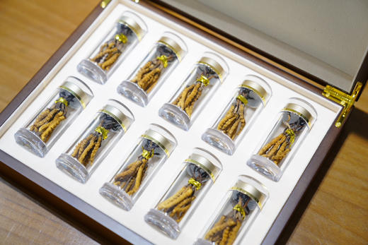 20克虫草礼盒 商品图0