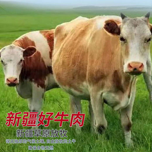 阿勒泰新疆牛肉臻品礼盒（中餐） 商品图9