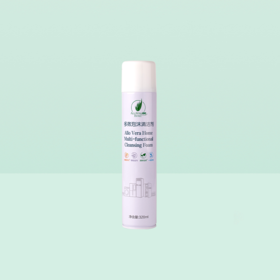 【预售 急单慎拍】完美荟净多效泡沫清洁剂 320ml/罐 原价75元