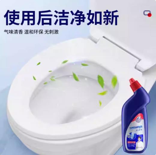 水卫仕水卫士强效洁厕净500克/瓶*3/组 商品图2