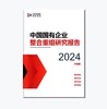 中国国有企业整合重组研究报告（2024升级版） 商品缩略图5