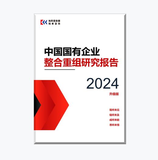 中国国有企业整合重组研究报告（2024升级版） 商品图5