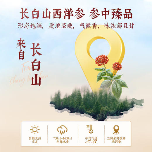 【一件包邮 传统滋补】蔡府此参有礼西洋参100g/盒 西洋参斜片参味浓郁 甘肃/青海/内蒙古/新疆/西藏/宁夏/海南/港澳台不发货 商品图3