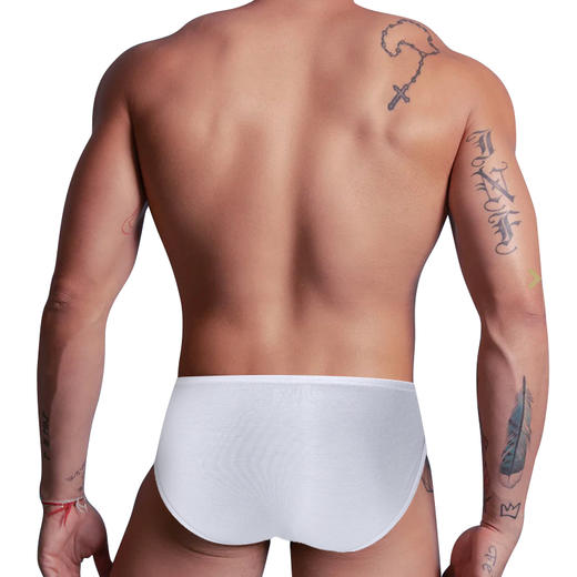 ORLVS 男士三角内裤 OR698 商品图1