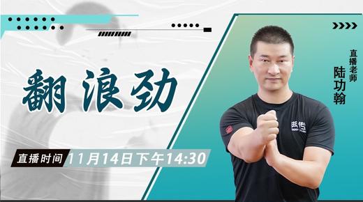 11月14日 翻浪劲——功夫课堂 商品图0