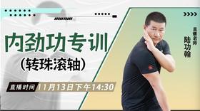 11月13日  内劲功专训(转珠滚轴)——功夫课堂