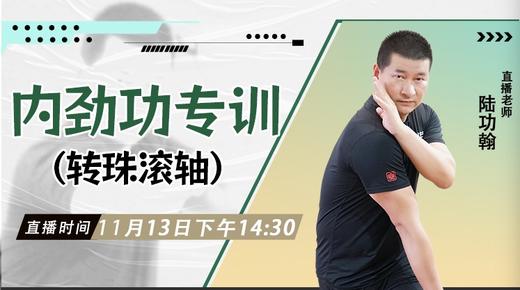 11月13日  内劲功专训(转珠滚轴)——功夫课堂 商品图0